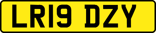 LR19DZY