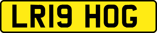 LR19HOG
