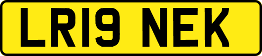 LR19NEK