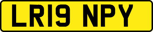 LR19NPY