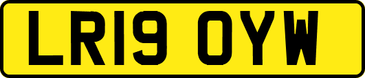 LR19OYW