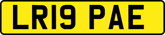 LR19PAE