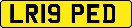 LR19PED