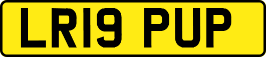 LR19PUP