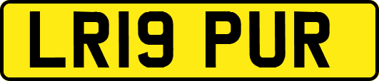 LR19PUR