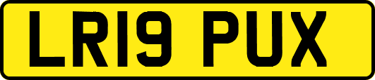 LR19PUX