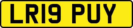 LR19PUY