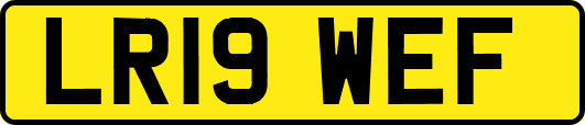 LR19WEF