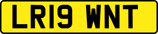 LR19WNT
