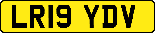 LR19YDV