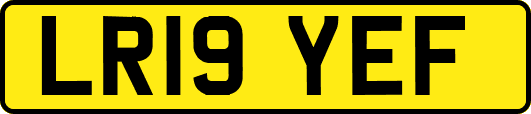 LR19YEF