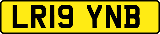 LR19YNB