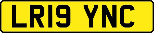 LR19YNC