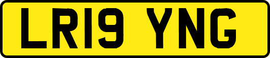 LR19YNG