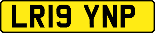 LR19YNP