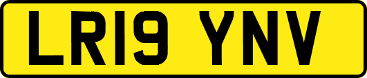 LR19YNV