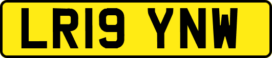 LR19YNW