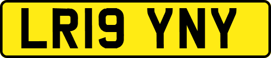 LR19YNY