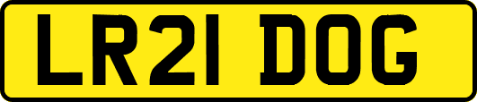 LR21DOG