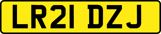 LR21DZJ