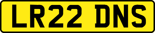 LR22DNS