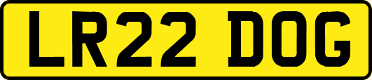 LR22DOG