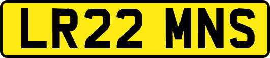 LR22MNS
