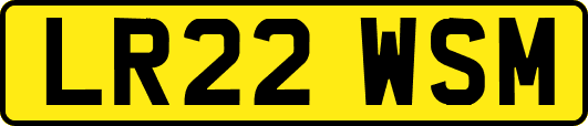 LR22WSM
