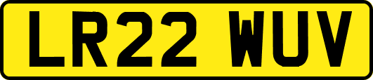 LR22WUV