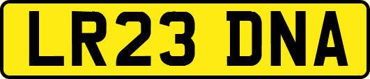 LR23DNA