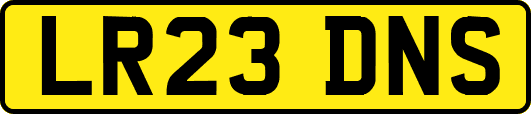 LR23DNS