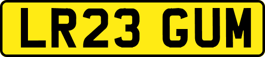 LR23GUM