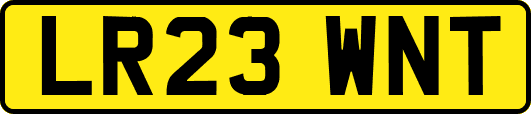 LR23WNT
