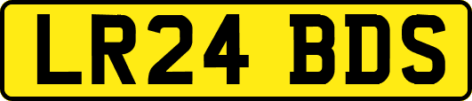 LR24BDS
