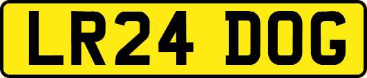 LR24DOG
