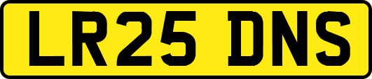 LR25DNS
