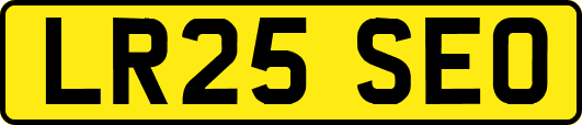 LR25SEO