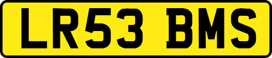 LR53BMS