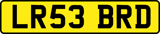 LR53BRD