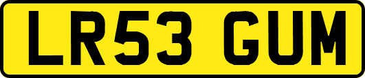 LR53GUM