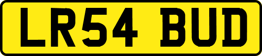 LR54BUD