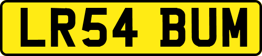 LR54BUM