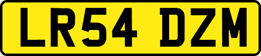 LR54DZM