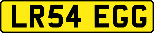 LR54EGG