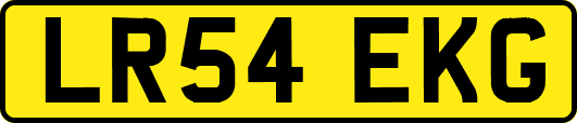 LR54EKG