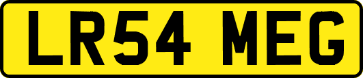 LR54MEG