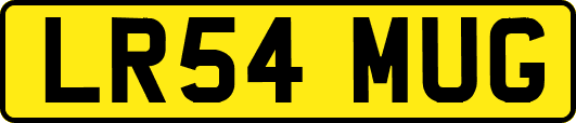 LR54MUG
