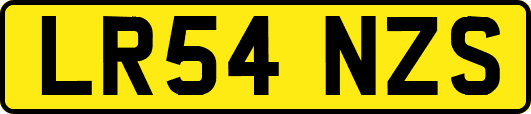 LR54NZS