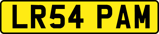 LR54PAM