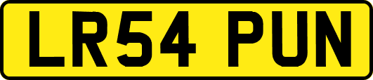 LR54PUN